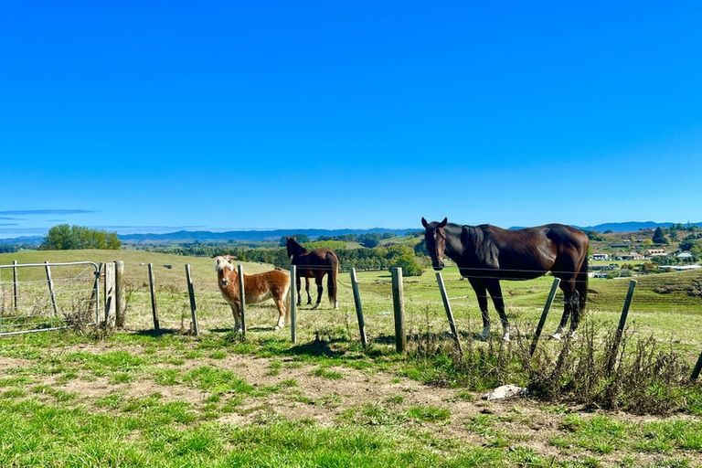 Photo of property in 16 Southworth Place, Grandview Heights, Hamilton, 3200