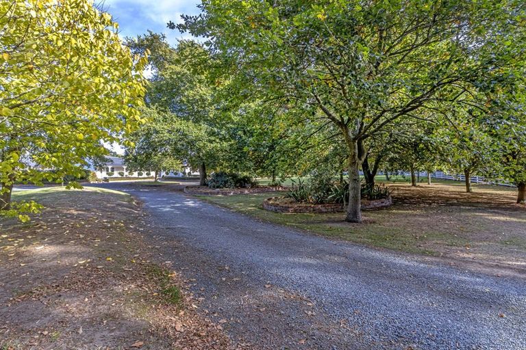 Photo of property in 1195 Hoskyns Road, Kirwee, Christchurch, 7671