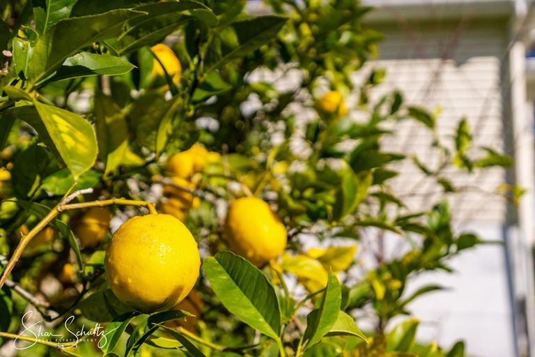 Photo of property in 53 Hurndall Street East, Maungaturoto, 0520