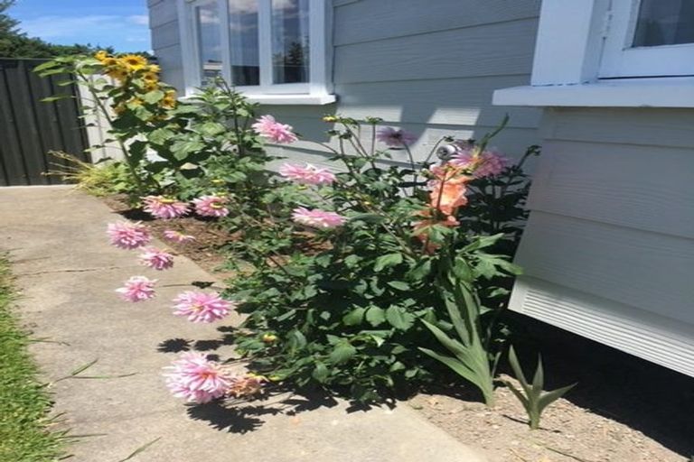 Photo of property in 1213 Caroline Road, Mayfair, Hastings, 4122