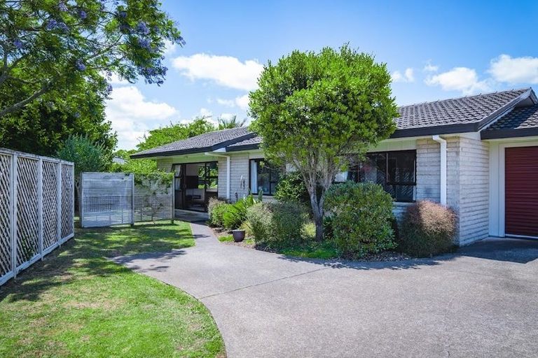 Photo of property in 117 West Street, Pukekohe, 2120