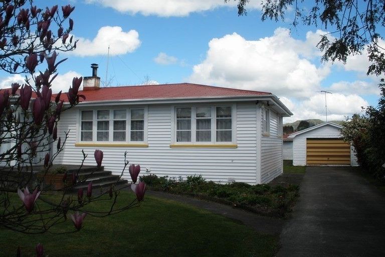 Photo of property in 118 Seddon Street, Raetihi, 4632