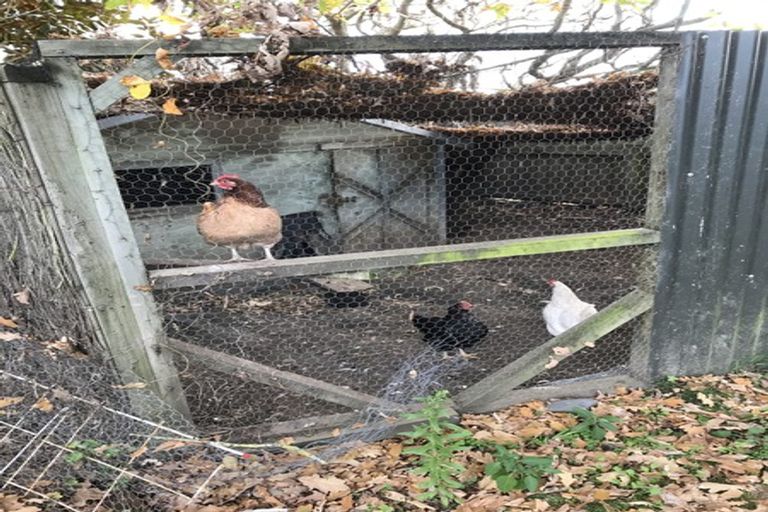 Photo of property in 151 East Belt, Rangiora, 7400