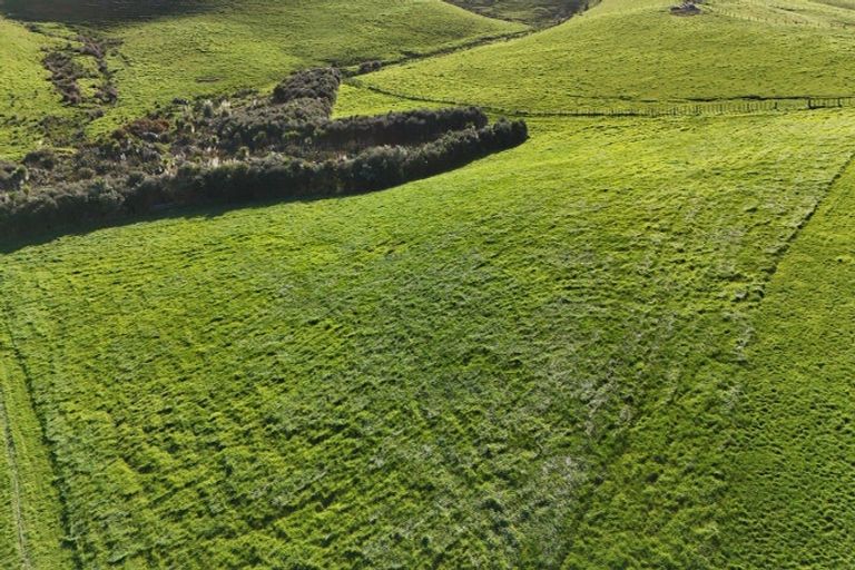 Photo of property in 11 James Joseph Lane, Matakana, 0985