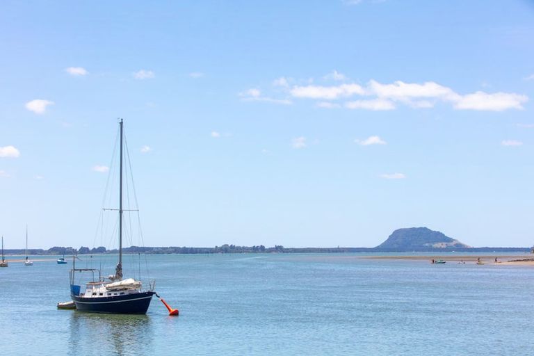 Photo of property in 248 Plummers Point Road, Whakamarama, Tauranga, 3172