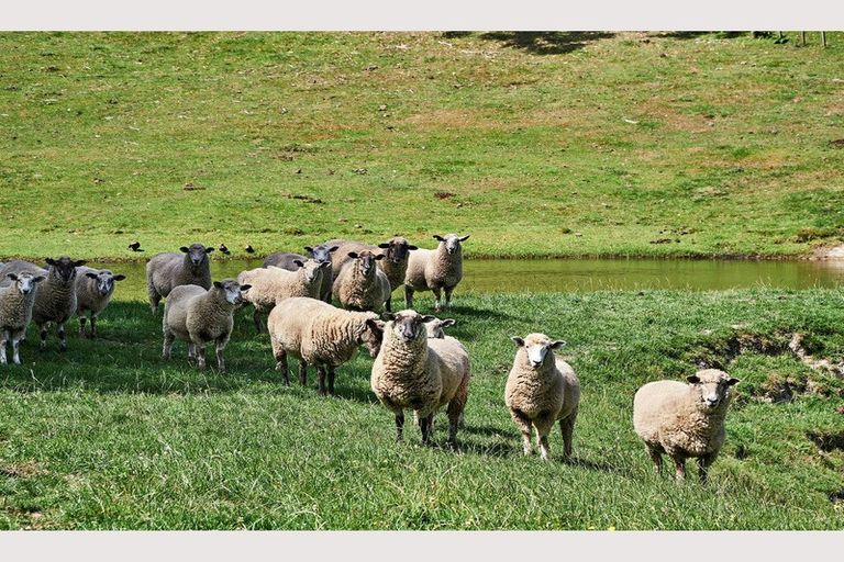 Photo of property in 921 Ngakoroa Road, Ormond, Gisborne, 4071