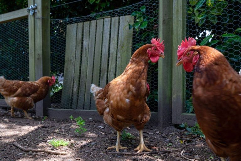 Photo of property in 9b Kenrick Road, Pukehangi, Rotorua, 3015