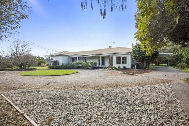 Photo of property in 352 Jeffersons Line, Marton, 4788