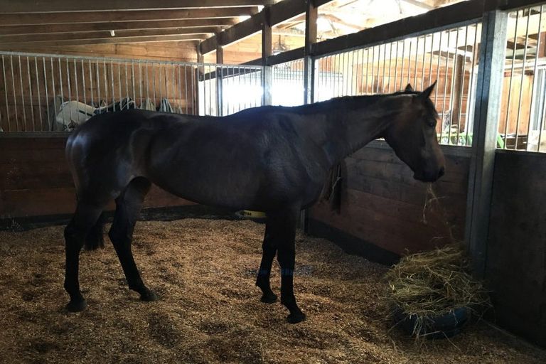 Photo of property in 598 Marychurch Road, Matangi, Hamilton, 3284