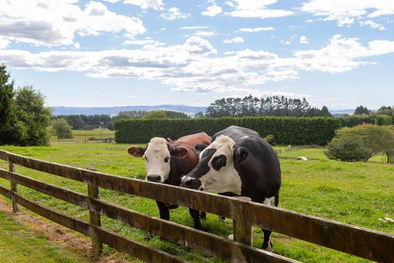 Photo of property in 207c Peers Road, Omanawa, Tauranga, 3171