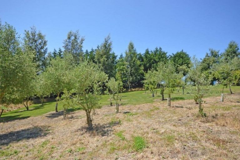 Photo of property in 56 Daniels Road, Normanby, Timaru, 7971