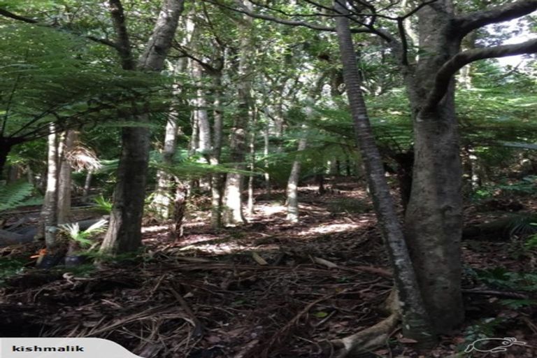 Photo of property in 16 Waikarekare Lane, Karekare, Auckland, 0772