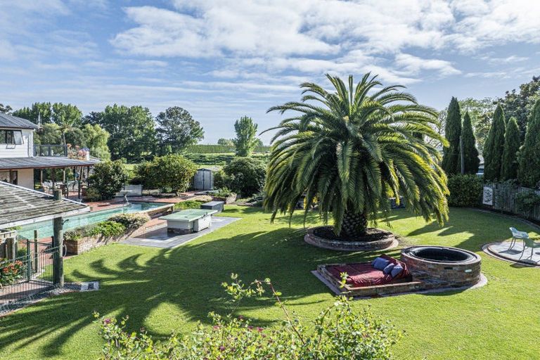 Photo of property in 74 Longlands Road, Longlands, Hastings, 4172