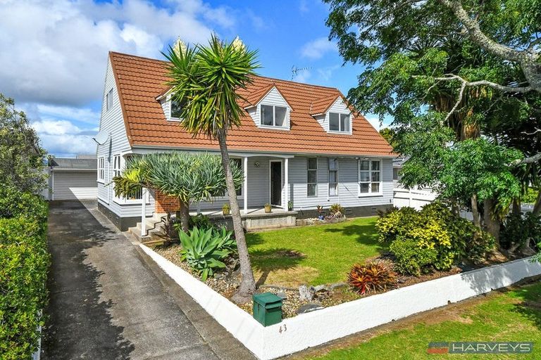Photo of property in 43 Mckean Avenue, Manurewa, Auckland, 2102