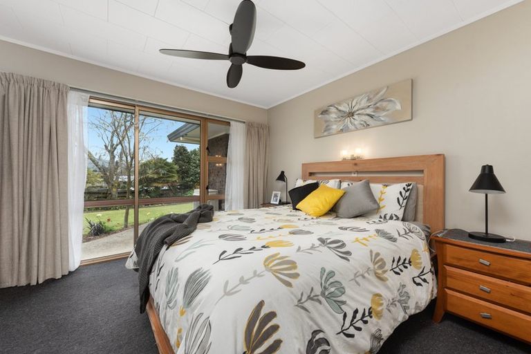 Photo of property in 137 Boucher Avenue, Te Puke, 3119