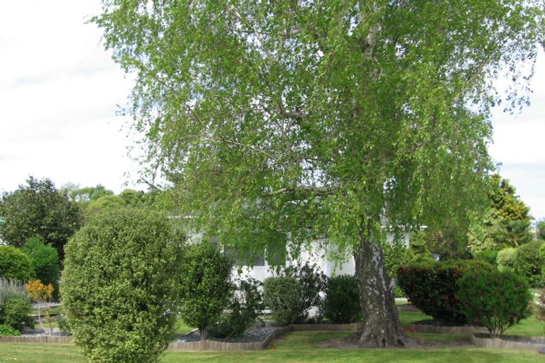 Photo of property in 34 Oak Street, Mangapapa, Gisborne, 4010