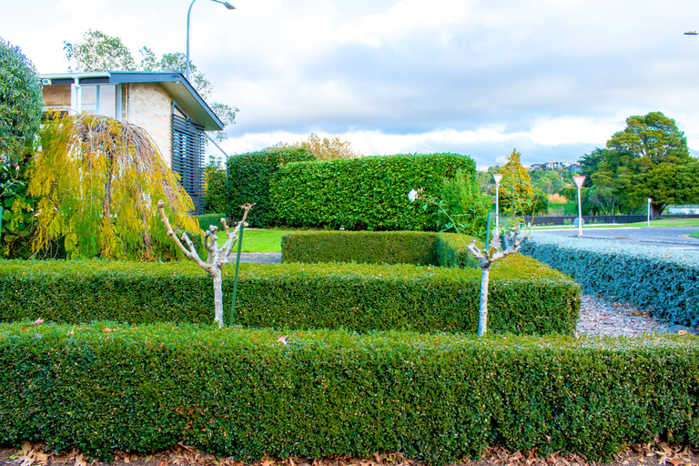 Photo of property in 125 Jickell Street, Hokowhitu, Palmerston North, 4410