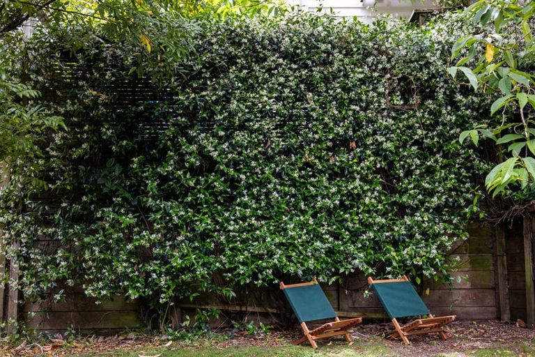 Photo of property in 104 Bassett Road, Remuera, Auckland, 1050