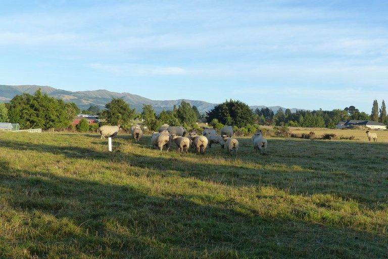 Photo of property in High Street, Waimate, 7924