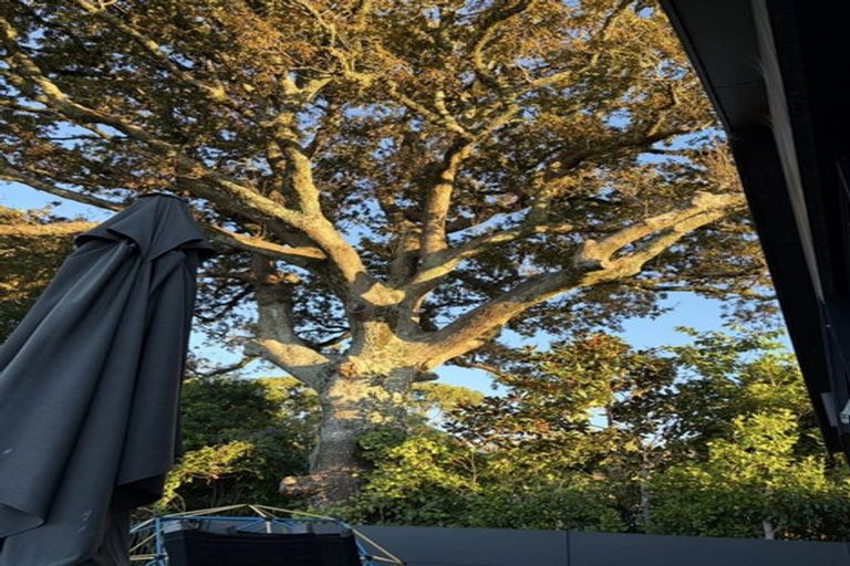 Photo of property in 427 Carrington Street, Upper Vogeltown, New Plymouth, 4310