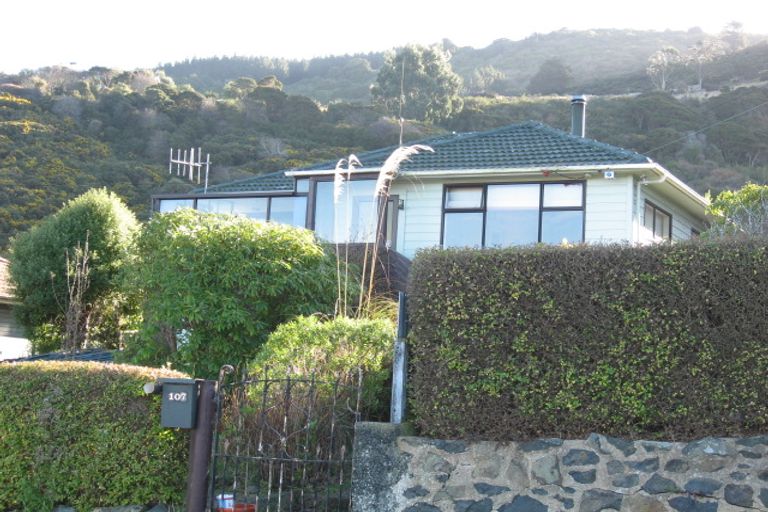 Photo of property in 111 Manapouri Street, Maia, Dunedin, 9022