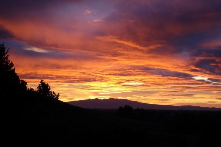 Photo of property in 504 Aspin Road, Te Miro, Cambridge, 3496