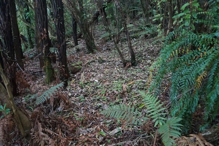 Photo of property in 5 Leith Crescent, Greymouth, 7805