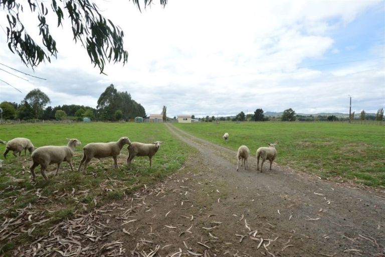 Photo of property in 983 Taumarunui-ngapuke Road, Taringamotu, Taumarunui, 3994