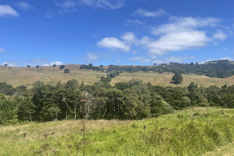 Photo of property in 175 Taylor Road, Waimauku, 0882