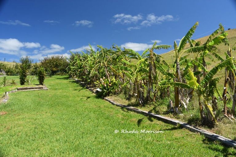 Photo of property in 354 Linton Road, Maungaturoto, 0583