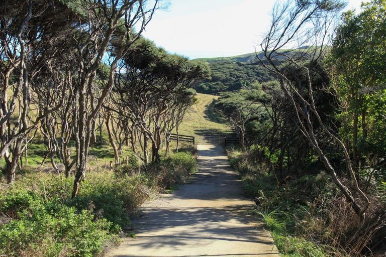 Photo of property in 1638 Whaanga Road, Raglan, 3296