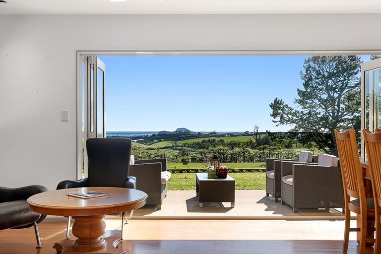 Photo of property in 200 Ross Road, Whakamarama, Tauranga, 3179