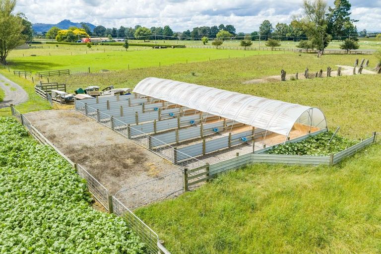 Photo of property in 737 Tauwhare Road, Tauwhare, Hamilton, 3287