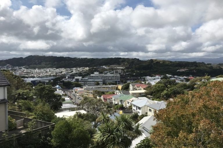 Photo of property in 51 Bidwill Street, Mount Cook, Wellington, 6021