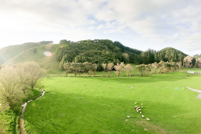 Photo of property in 455 Longacre Road, Okoia, Whanganui, 4582