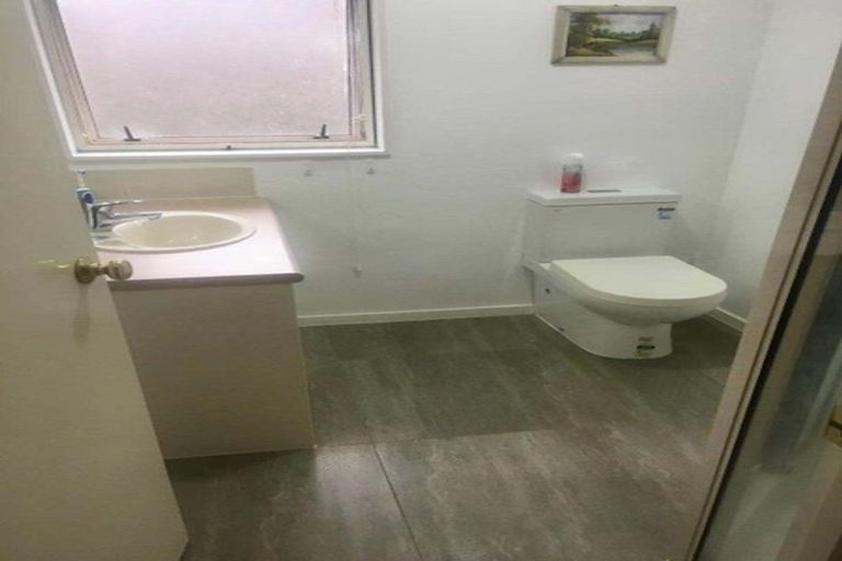 Photo of property in 45 Wiltshire Place, Somerville, Auckland, 2014