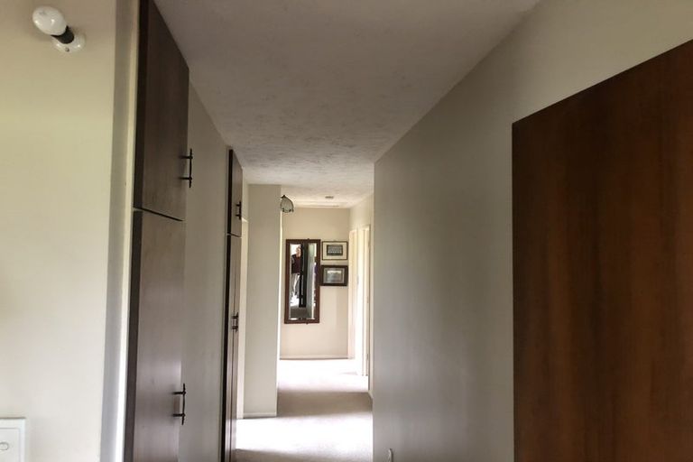 Photo of property in 432 Island Road, View Hill, Oxford, 7495