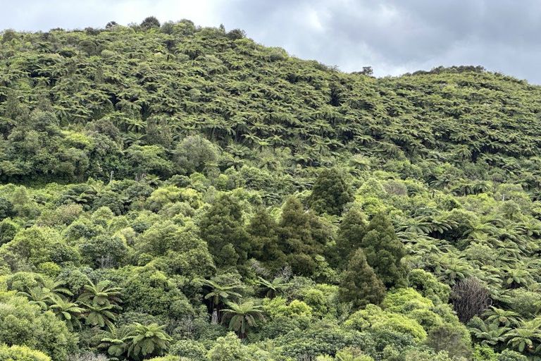 Photo of property in 91c Onepoto Road, Tuai, Wairoa, 4195