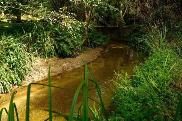 Photo of property in 566 Paradise Valley Road, Ngongotaha Valley, Rotorua, 3072