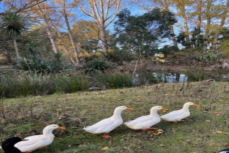 Photo of property in 86 Barkers Road, Ohoka, Rangiora, 7475