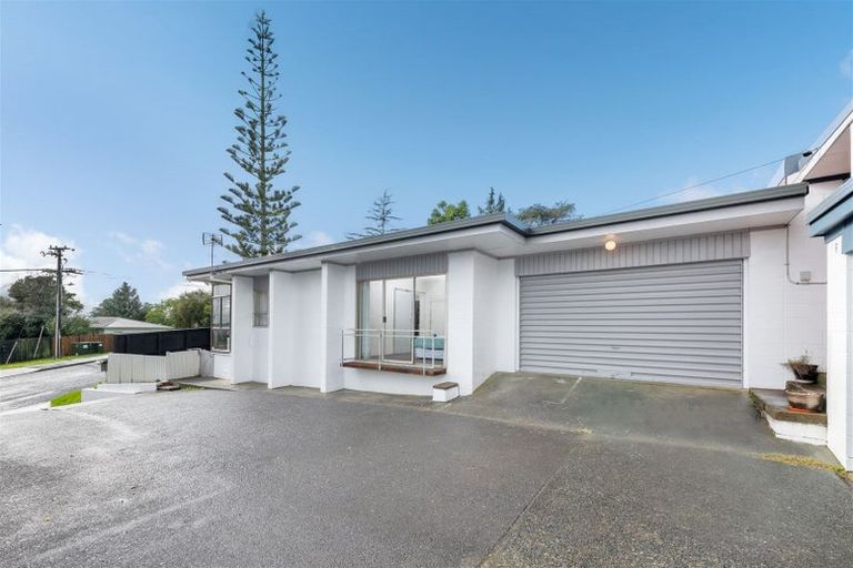 Photo of property in 1/9 Parrs Cross Road, Henderson, Auckland, 0612