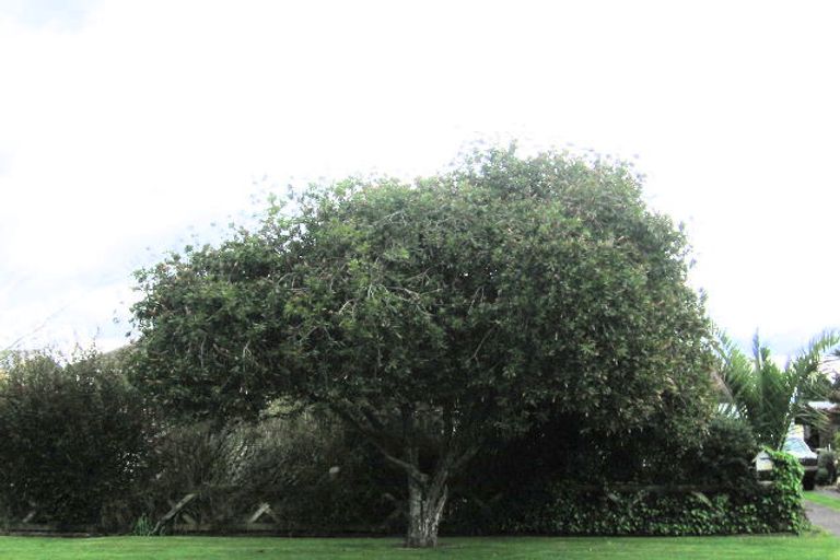 Photo of property in 7 Reeme Street, Ngongotaha, Rotorua, 3010