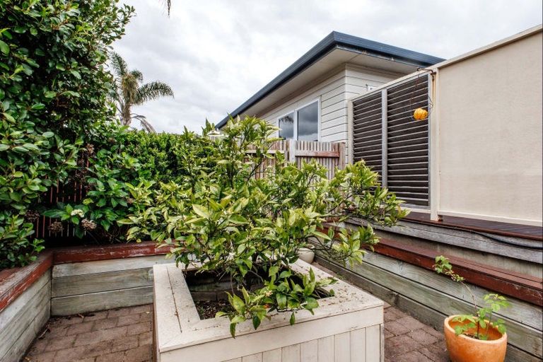 Photo of property in 24 Bracken Street, Whakatane, 3120