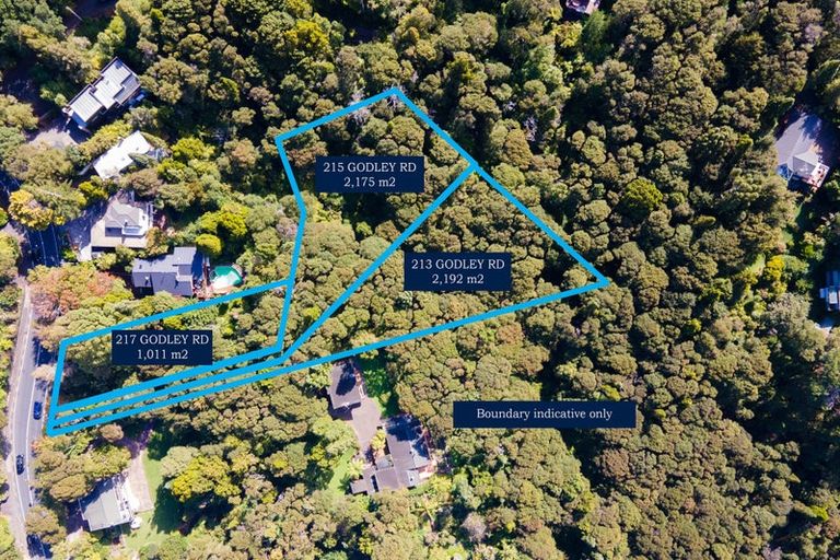 Photo of property in 213 Godley Road, Titirangi, Auckland, 0604