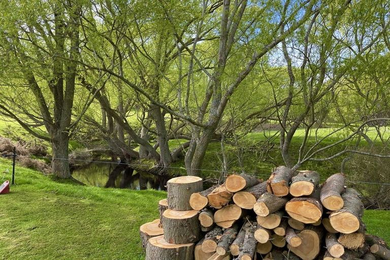 Photo of property in 88 Maytown Road, Waimate, 7978