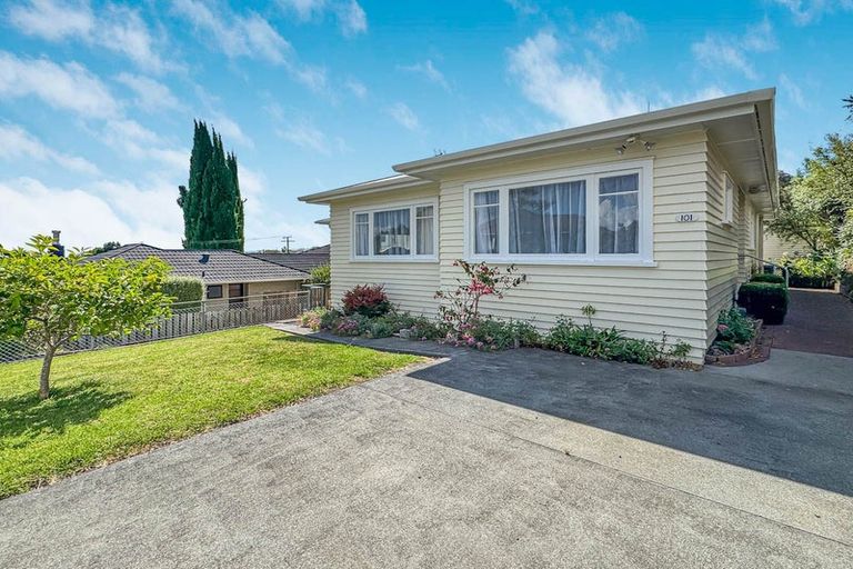 Photo of property in 101 Graham Street, Thames, 3500