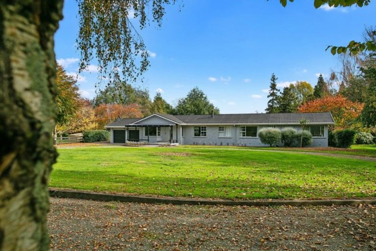 Photo of property in 66 Mill Road, Ohaupo, 3881