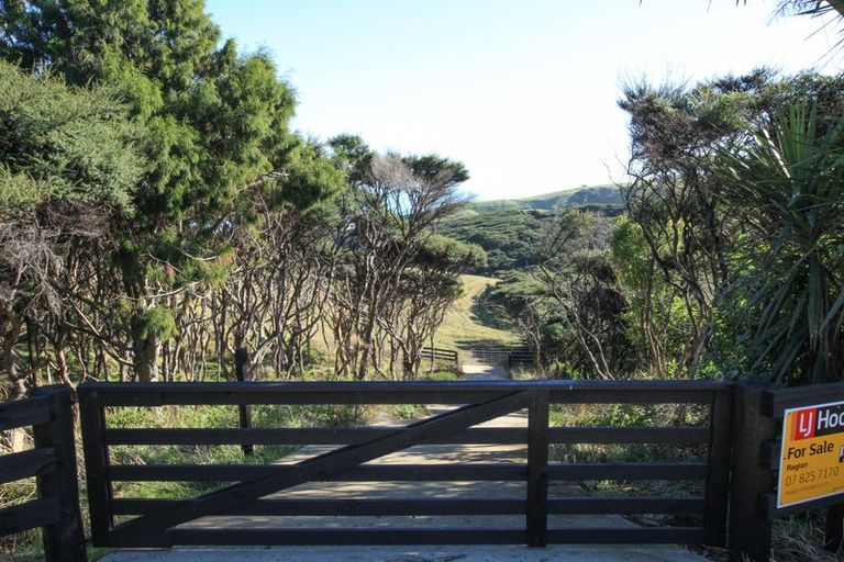 Photo of property in 1638 Whaanga Road, Raglan, 3296