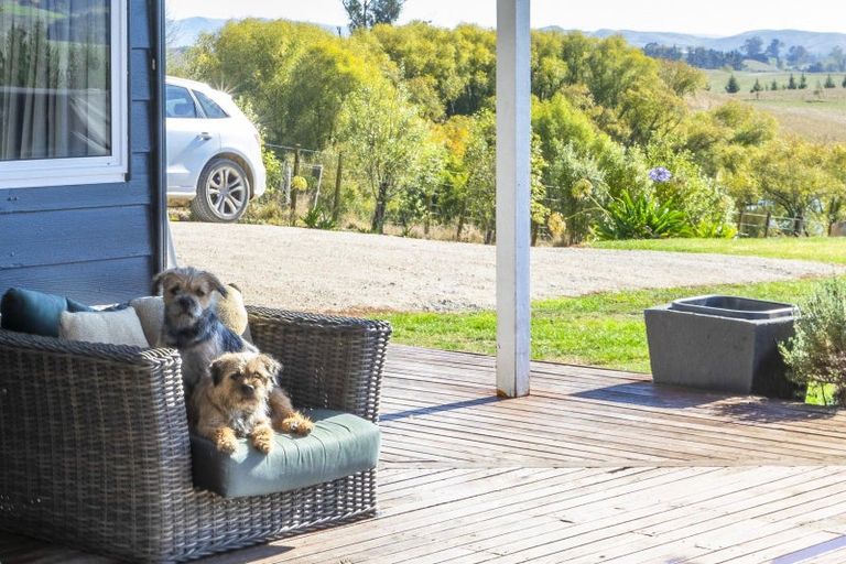 Photo of property in 342 Homewood Road, Waipawa, Otane, 4277