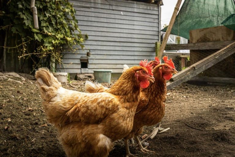 Photo of property in 28 Main Street, Marton, 4710